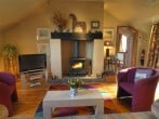 Cosy log burner Cosy log burner